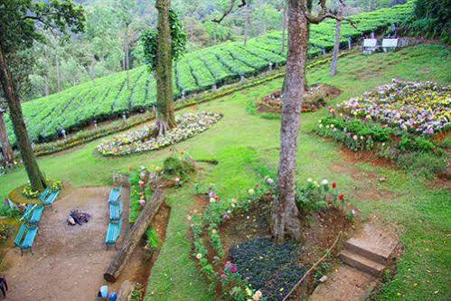 Oak Field Resort Munnar Exterior foto