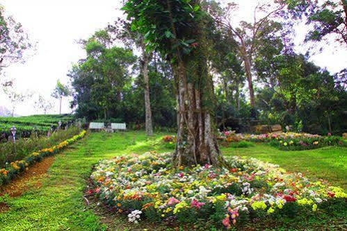 Oak Field Resort Munnar Exterior foto